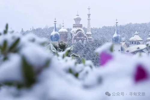 微信图片_2025-12-25_144258_082