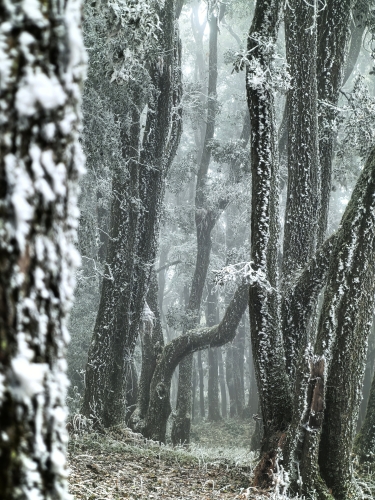 微信图片_2026-01-14_151557_206