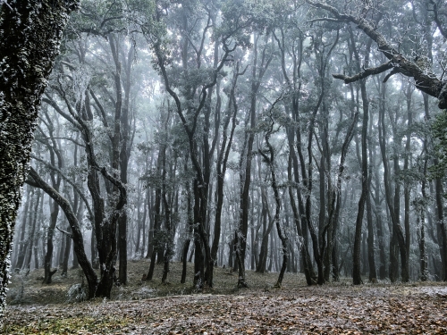 微信图片_2026-01-14_151601_042