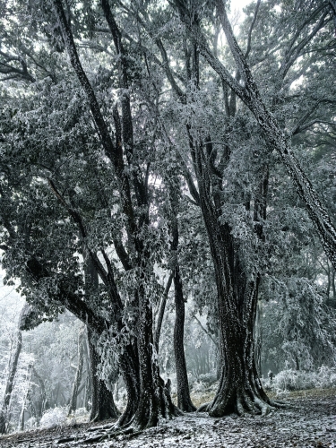 微信图片_20260108132459_31_74