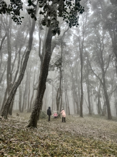 微信图片_20260108155139_41_74