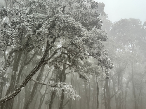 微信图片_20260108155142_42_74