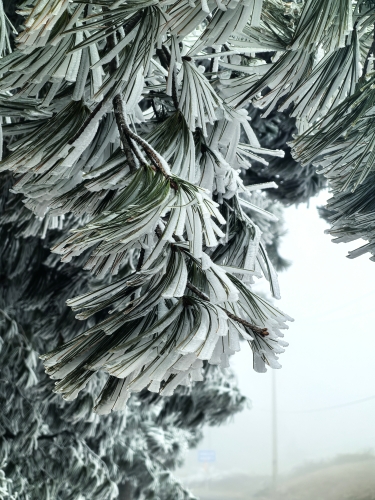 微信图片_20260108155159_44_74