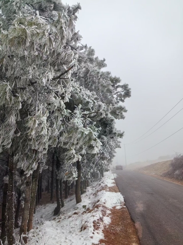 微信图片_20260108155202_45_74