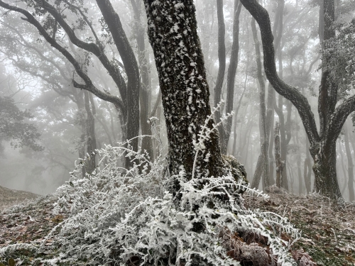 微信图片_20260108155212_46_74