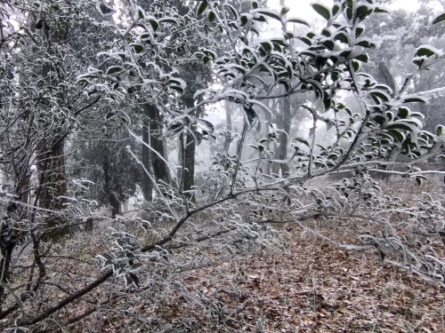 微信图片_20260114151516