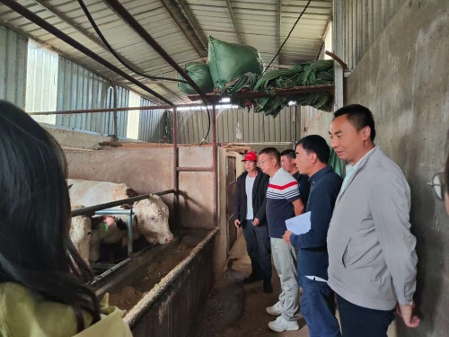 微信图片_20260114153717_57_8