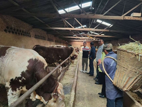 微信图片_20260114153718_58_8