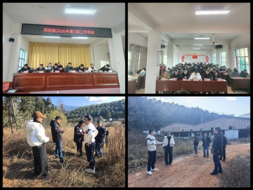 12000af6087d46dbb5899cb13bd11582