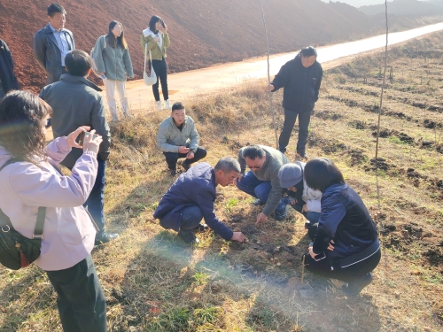 微信图片_20260127102307_61_695 微信图片_20260127102307_61_695