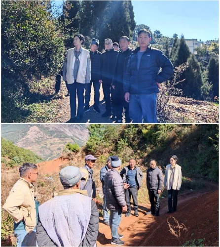 微信图片_20260226102517_943_11