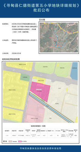 4寻甸县仁德街道第五小学地块详细规划-批后公布）_01