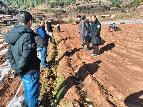 微信图片_20260319164757_21_2042 微信图片_20260319164757_21_2042