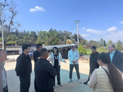 069d31be89f6311c7644f28681d6fee6