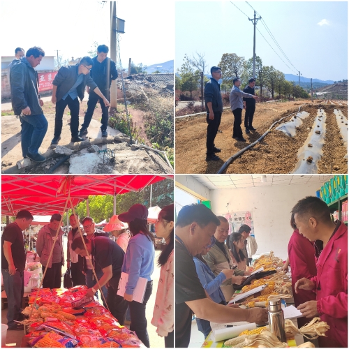 c3c95079f675aff99a6b3574385ef768