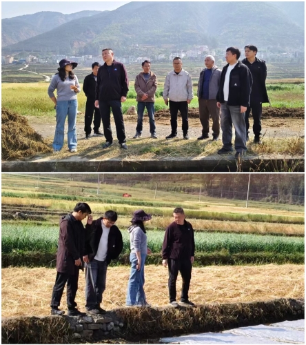 微信图片_20260422165204_1239_11