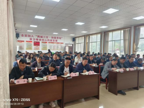 图片6