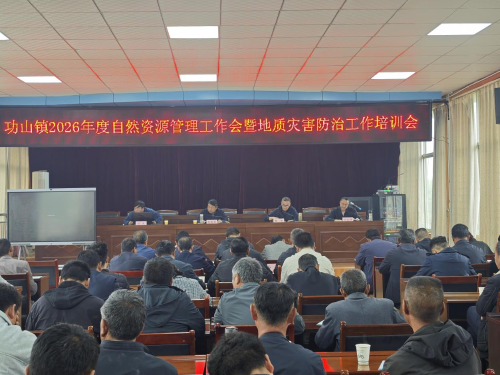 图片7