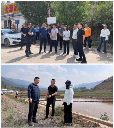 微信图片_20260511170815_1371_11 微信图片_20260511170815_1371_11