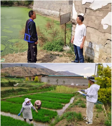 微信图片_20260511170824_1381_11 微信图片_20260511170824_1381_11