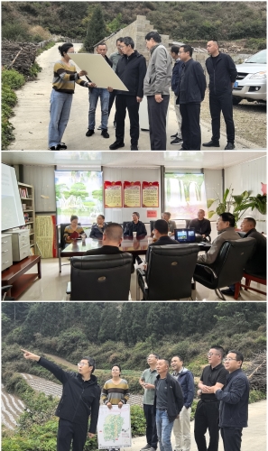 微信图片_20260513141105_1402_11