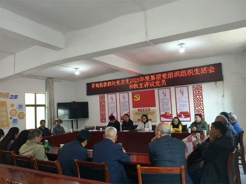 图片8