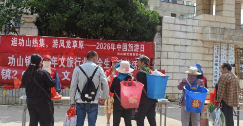 图片1