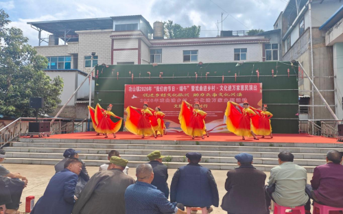 图片4