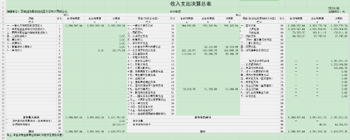 收入支出决算表（2025）