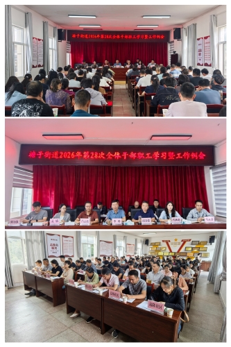 817会议图片