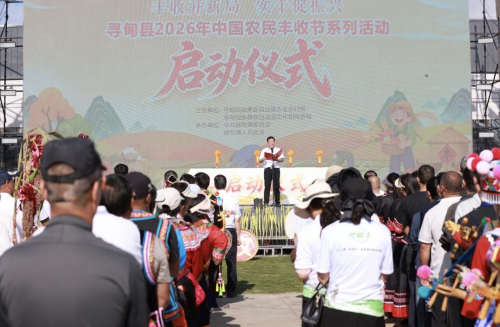 图片2 图片2