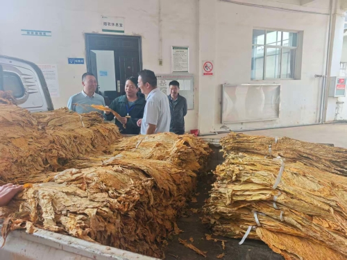 微信图片_20261012150925_1077_109