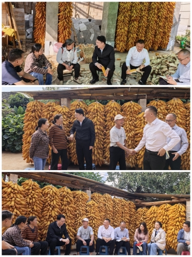 微信图片_20261012152149_1118_109